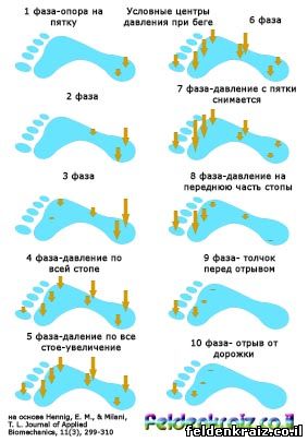 Стопа-динамика