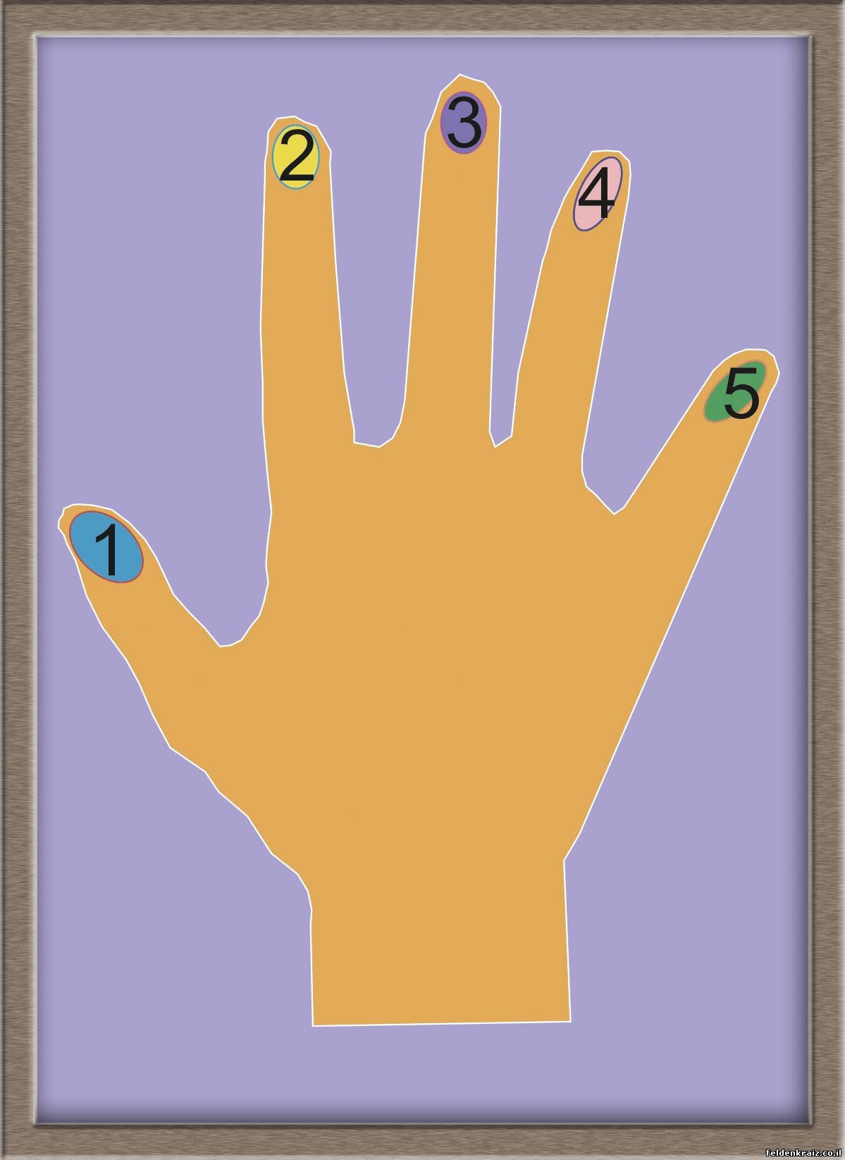На рисунке дано изображение ладони для упражнения, известного под названием «часы на руке». Даны также номера пальцев от одного (большой палец) до пяти (мизинец)